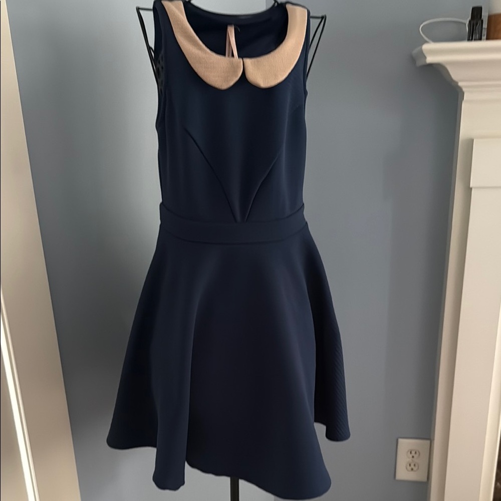 Navy Dress with Beige Peter Pan Collar